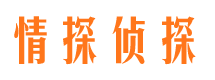 琼海外遇取证